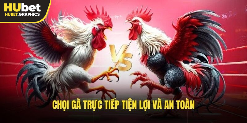 Chọi gà trực tiếp tiện lợi và an toàn